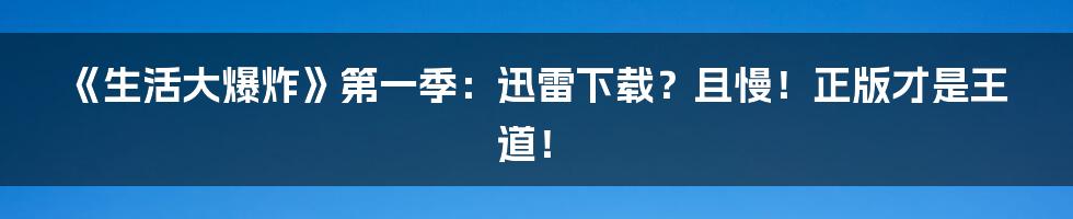 《生活大爆炸》第一季:迅雷下载?且慢!正版才是王道!