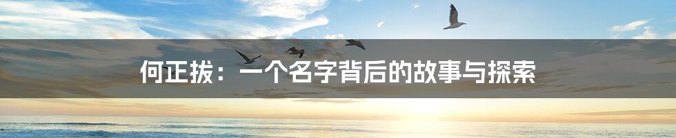 何正拔：一个名字背后的故事与探索