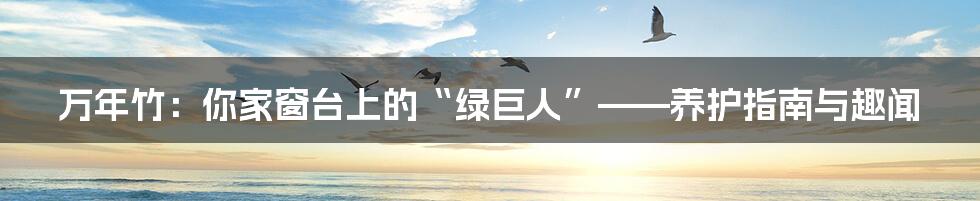万年竹:你家窗台上的“绿巨人”——养护指南与趣闻