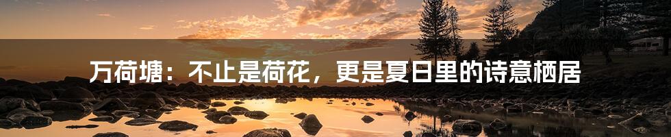 万荷塘:不止是荷花,更是夏日里的诗意栖居