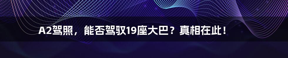 A2驾照,能否驾驭19座大巴?真相在此!
