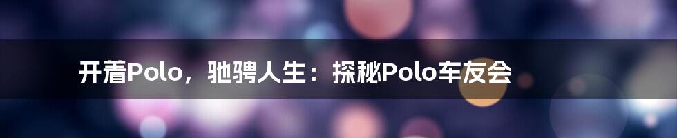 开着Polo,驰骋人生:探秘Polo车友会