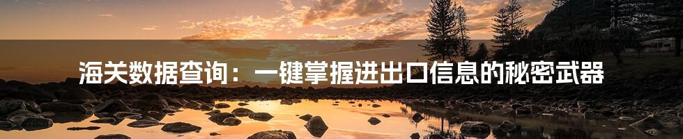 海关数据查询:一键掌握进出口信息的秘密武器