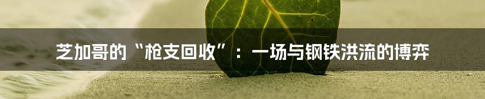 芝加哥的“枪支回收”：一场与钢铁洪流的博弈