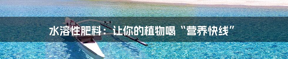 水溶性肥料:让你的植物喝“营养快线”