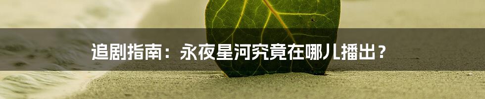 追剧指南:永夜星河究竟在哪儿播出?