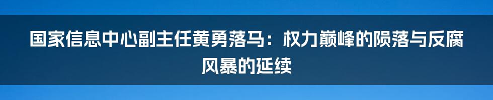 国家信息中心副主任黄勇落马:权力巅峰的陨落与反腐风暴的延续