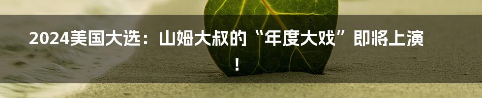 2024美国大选:山姆大叔的“年度大戏”即将上演!