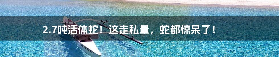2.7吨活体蛇!这走私量,蛇都惊呆了!