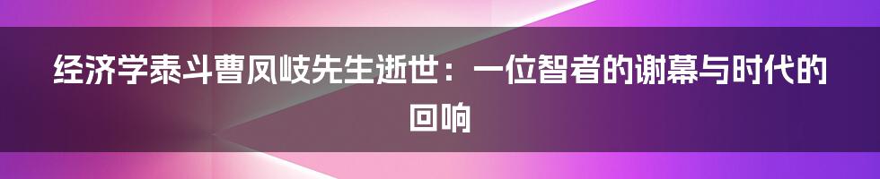 经济学泰斗曹凤岐先生逝世:一位智者的谢幕与时代的回响