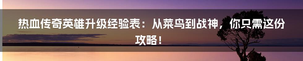 热血传奇英雄升级经验表:从菜鸟到战神,你只需这份攻略!
