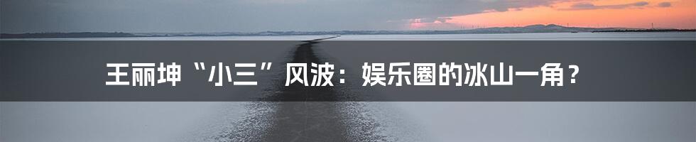 王丽坤“小三”风波:娱乐圈的冰山一角?