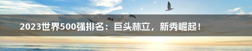 2023世界500强排名:巨头林立,新秀崛起!