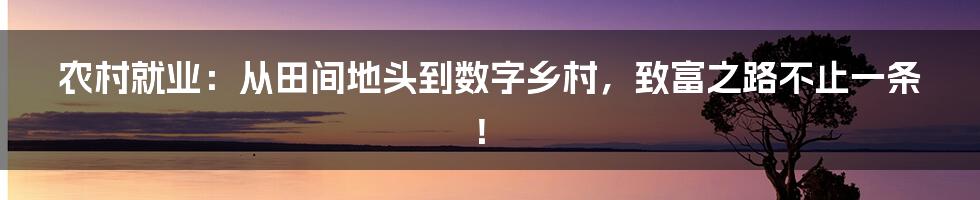 农村就业:从田间地头到数字乡村,致富之路不止一条!