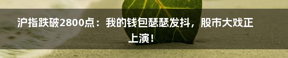 沪指跌破2800点:我的钱包瑟瑟发抖,股市大戏正上演!
