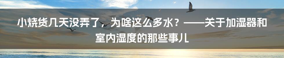 小烧货几天没弄了,为啥这么多水?——关于加湿器和室内湿度的那些事儿
