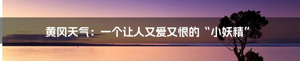 黄冈天气:一个让人又爱又恨的“小妖精”