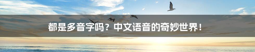 都是多音字吗?中文语音的奇妙世界!