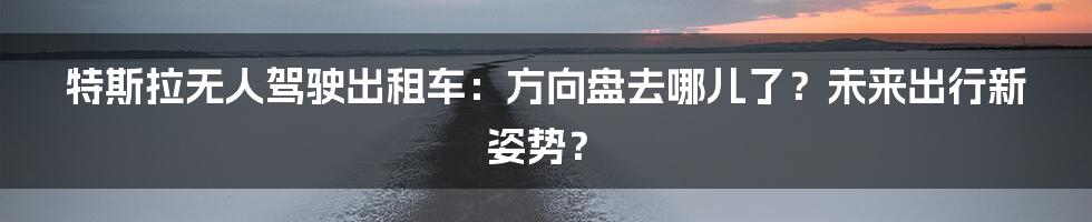 特斯拉无人驾驶出租车:方向盘去哪儿了?未来出行新姿势?