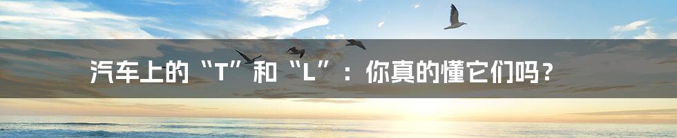 汽车上的“T”和“L”:你真的懂它们吗?