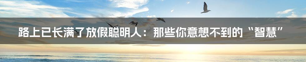 路上已长满了放假聪明人:那些你意想不到的“智慧”