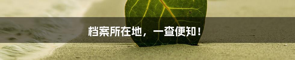 档案所在地,一查便知!