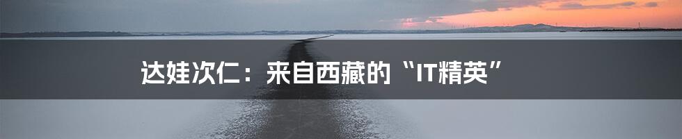 达娃次仁:来自西藏的“IT精英”