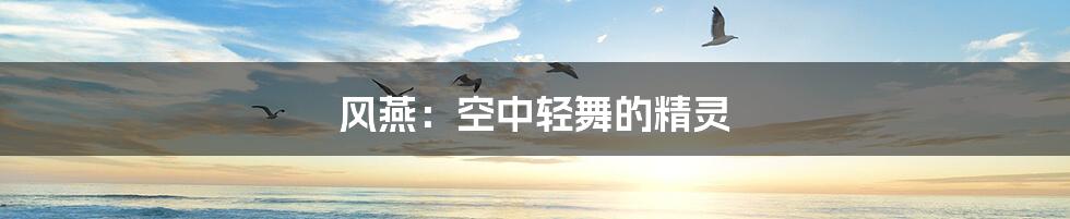 风燕:空中轻舞的精灵