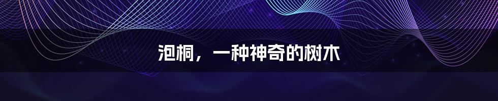 泡桐,一种神奇的树木