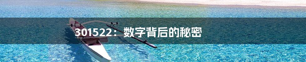 301522:数字背后的秘密