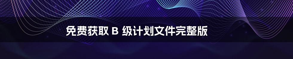 免费获取 B 级计划文件完整版