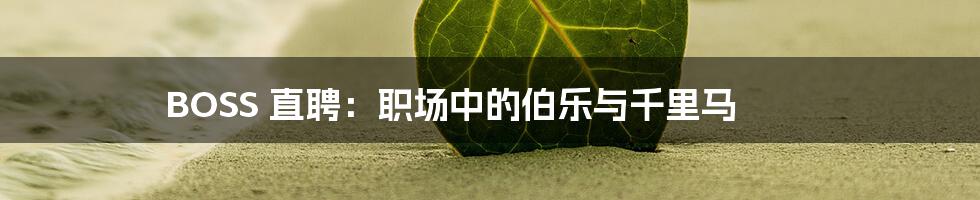 BOSS 直聘:职场中的伯乐与千里马