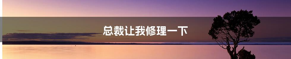 总裁让我修理一下
