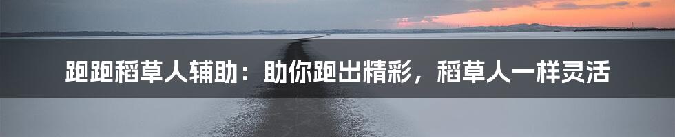 跑跑稻草人辅助:助你跑出精彩,稻草人一样灵活