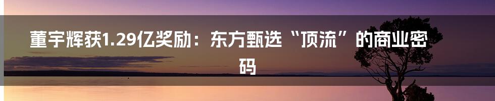 董宇辉获1.29亿奖励:东方甄选“顶流”的商业密码