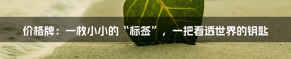 价格牌:一枚小小的“标签”,一把看透世界的钥匙