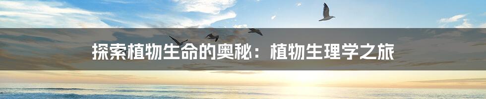探索植物生命的奥秘:植物生理学之旅