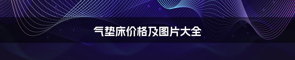 气垫床价格及图片大全