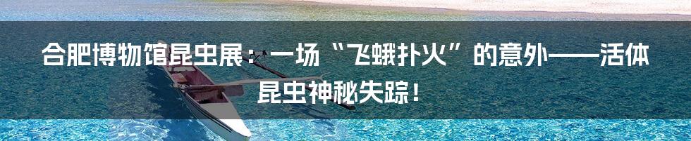 合肥博物馆昆虫展:一场“飞蛾扑火”的意外——活体昆虫神秘失踪!