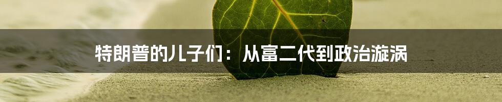 特朗普的儿子们:从富二代到政治漩涡