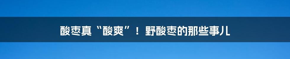 酸枣真“酸爽”!野酸枣的那些事儿