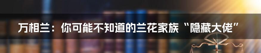 万相兰:你可能不知道的兰花家族“隐藏大佬”