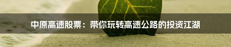 中原高速股票:带你玩转高速公路的投资江湖