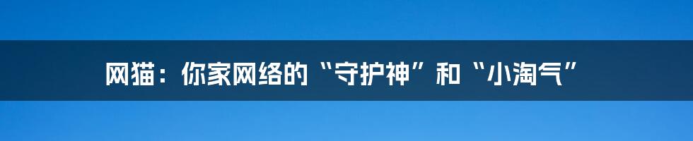 网猫:你家网络的“守护神”和“小淘气”