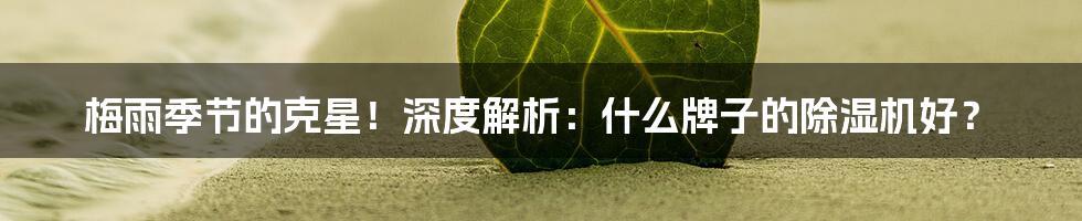 梅雨季节的克星!深度解析:什么牌子的除湿机好?