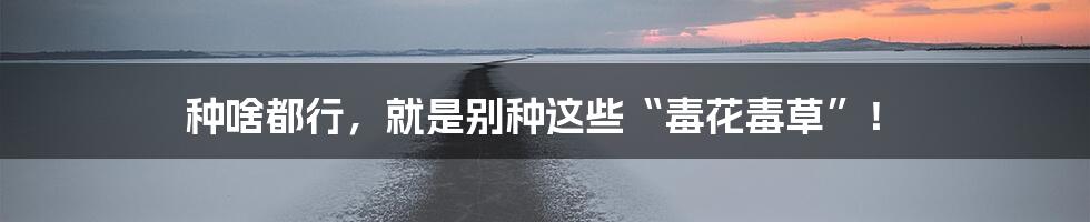 种啥都行,就是别种这些“毒花毒草”!