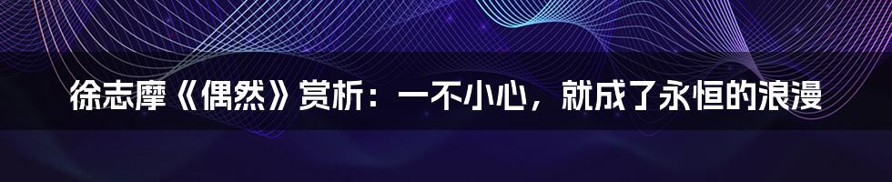 徐志摩《偶然》赏析:一不小心,就成了永恒的浪漫