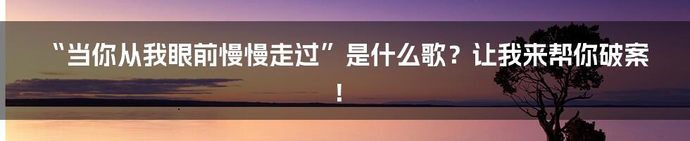 “当你从我眼前慢慢走过”是什么歌?让我来帮你破案!