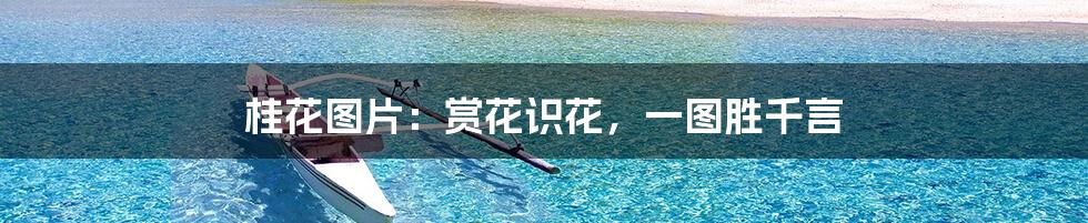 桂花图片:赏花识花,一图胜千言