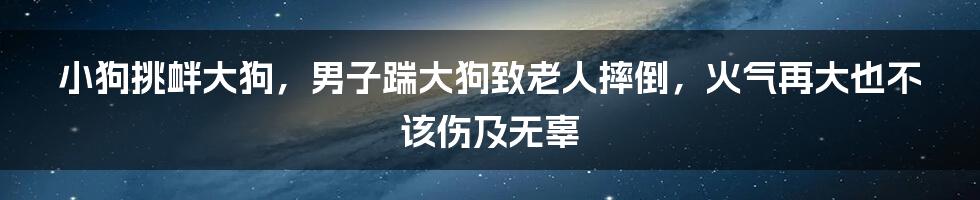 小狗挑衅大狗,男子踹大狗致老人摔倒,火气再大也不该伤及无辜